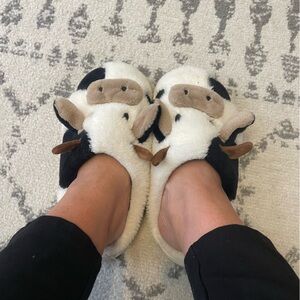 Well worn stinky smelly cow fuzzy Slippers